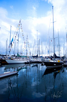CascioNewportBermuda-6097