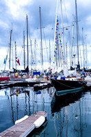 CascioNewportBermuda-6105
