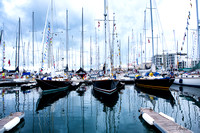 CascioNewportBermuda-6108