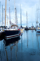 CascioNewportBermuda-6112