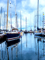 CascioNewportBermuda-6113