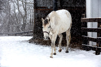 Snow2CAS7250